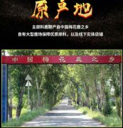 姜堰康佰源鹿鞭人参肽片多少钱一盒【效果震惊】