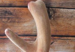 胃癌患者能吃虫草鹿茸吗